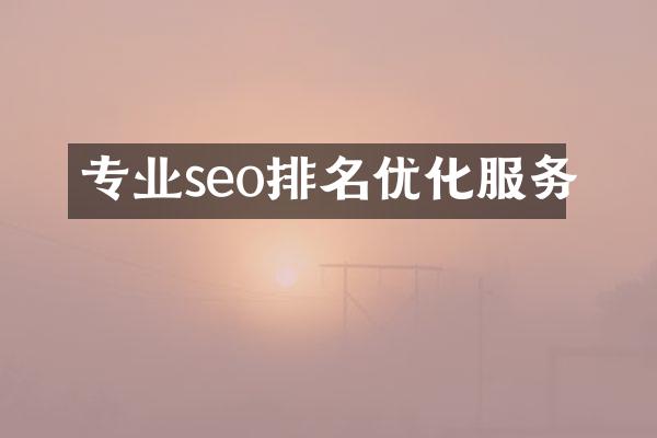 专业seo排名优化服务