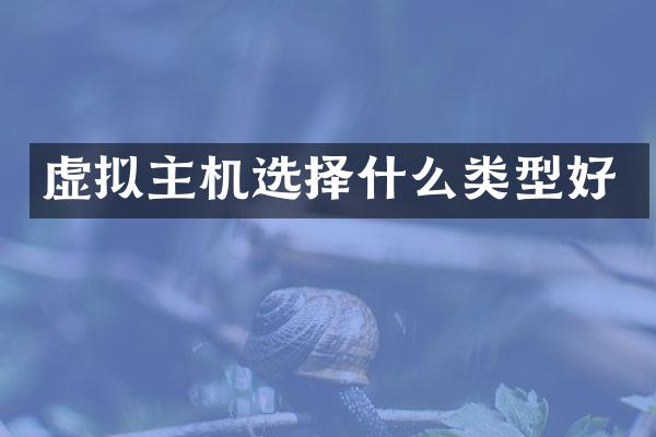 虚拟主机选择什么类型好