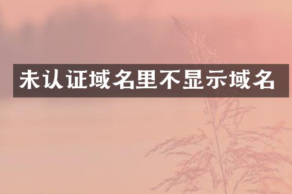 未认证域名里不显示域名