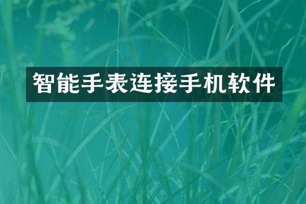 智能手表连接手机软件