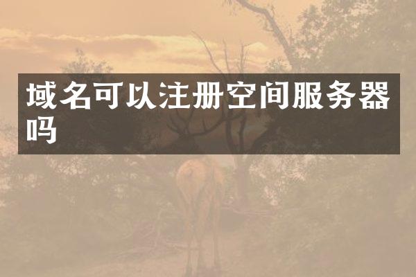 域名可以注册空间服务器吗