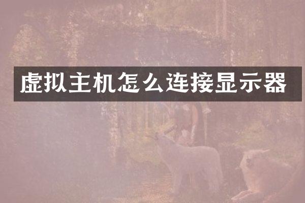 虚拟主机怎么连接显示器