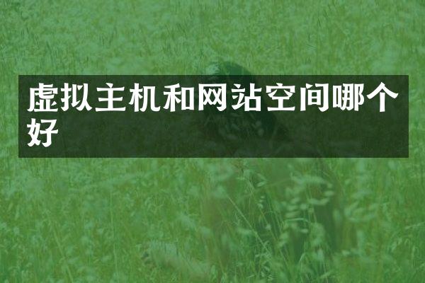 虚拟主机和网站空间哪个好