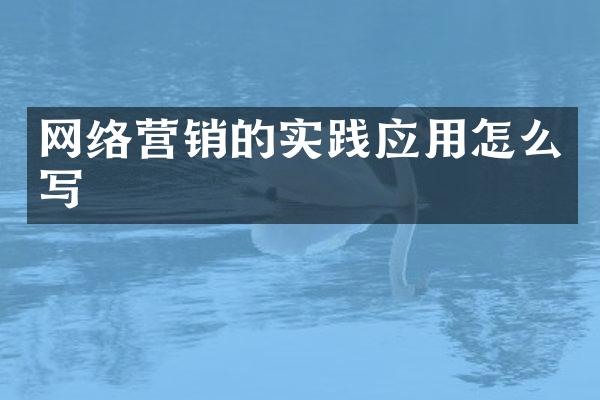 网络营销的实践应用怎么写