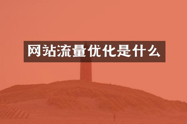网站流量优化是什么