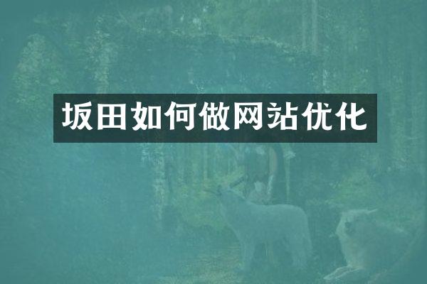 坂田如何做网站优化