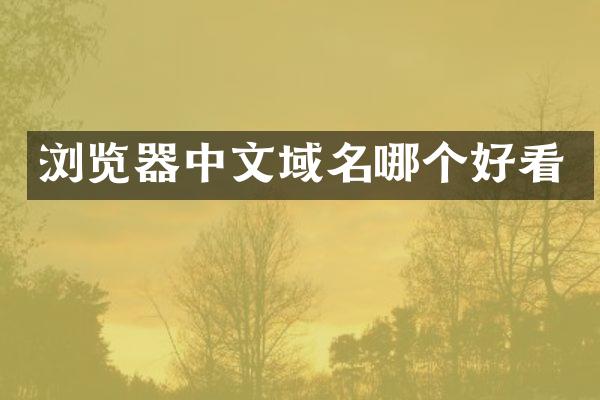 浏览器中文域名哪个好看