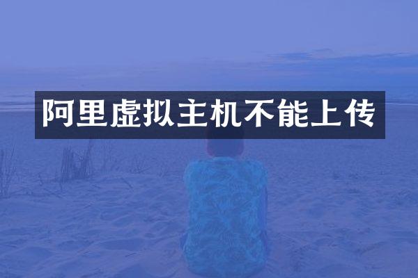 阿里虚拟主机不能上传