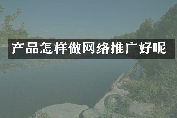产品怎样做网络推广好呢