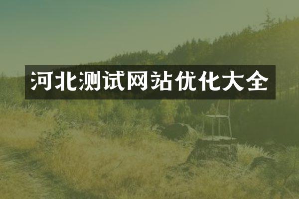 河北测试网站优化大全