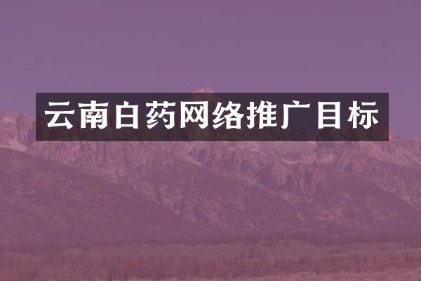 云南白药网络推广目标