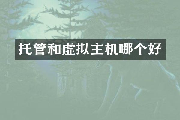 托管和虚拟主机哪个好