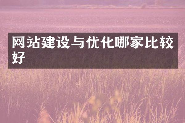 网站建设与优化哪家比较好