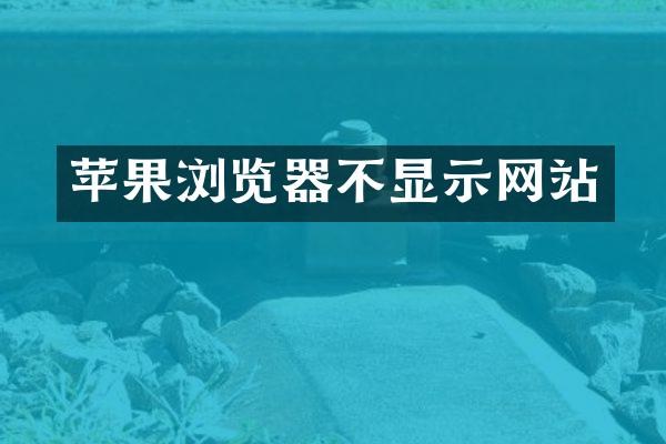 苹果浏览器不显示网站