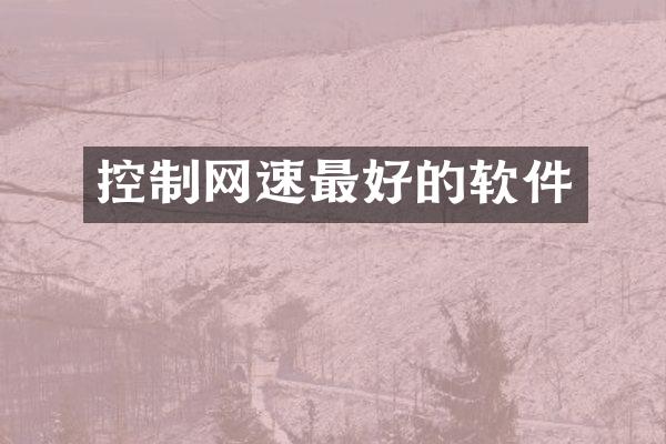 控制网速最好的软件