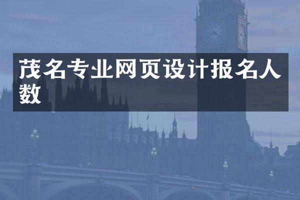茂名专业网页设计报名人数