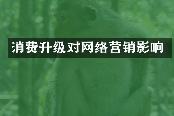 消费升级对网络营销影响