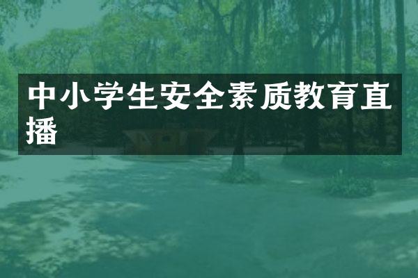 中小学生安全素质教育直播