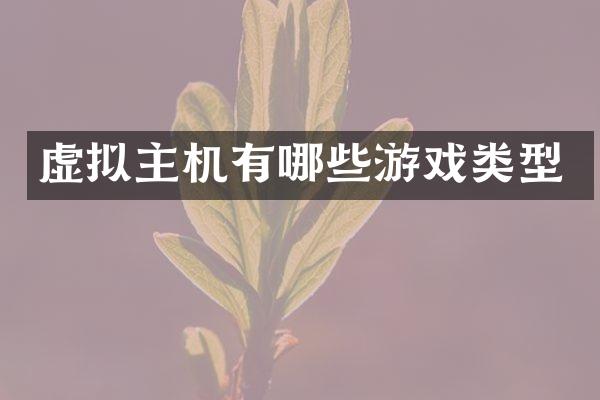 虚拟主机有哪些游戏类型