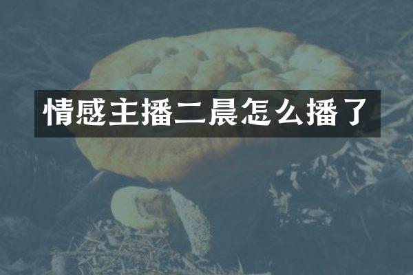 情感主播二晨怎么播了