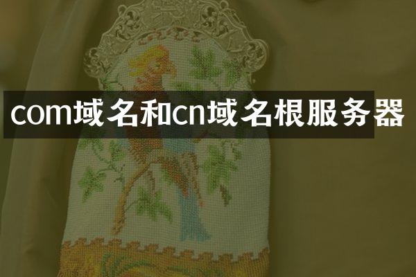 com域名和cn域名根服务器