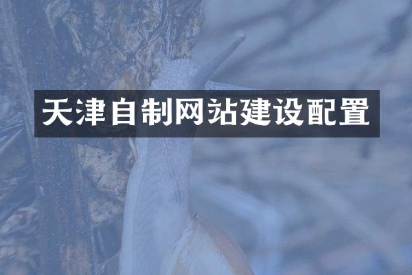 天津自制网站建设配置