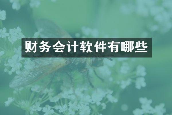 财务会计软件有哪些