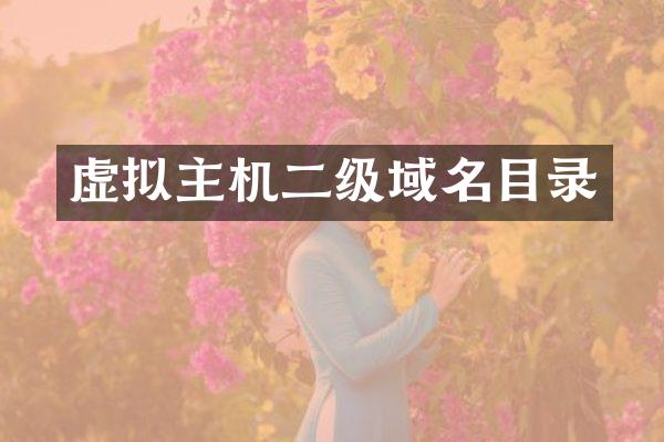 虚拟主机二级域名目录