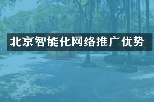 北京智能化网络推广优势