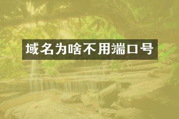 域名为啥不用端口号