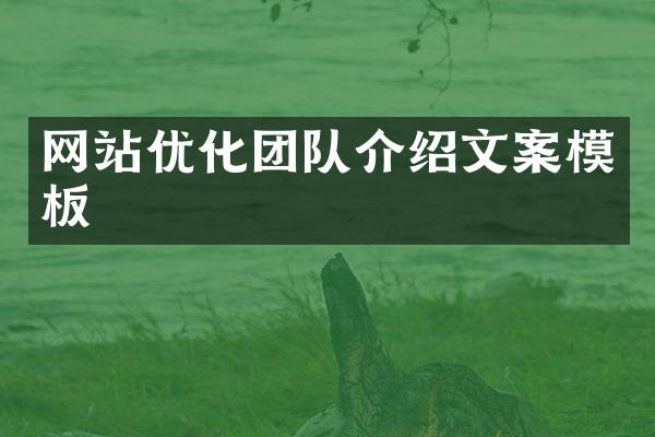 网站优化团队介绍文案模板