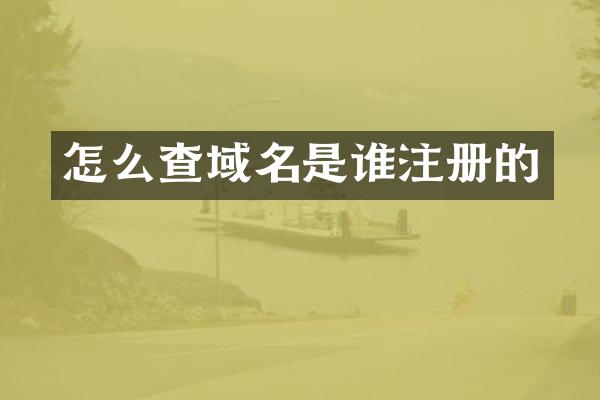 怎么查域名是谁注册的