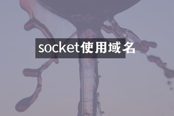 socket使用域名