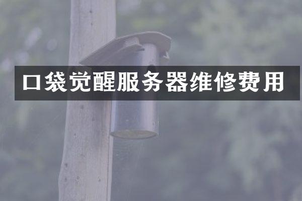 口袋觉醒服务器维修费用