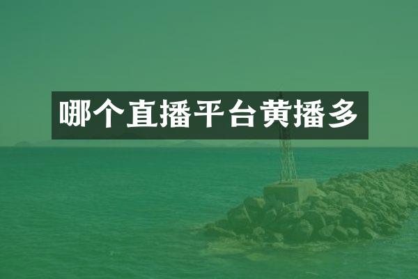 哪个直播平台黄播多