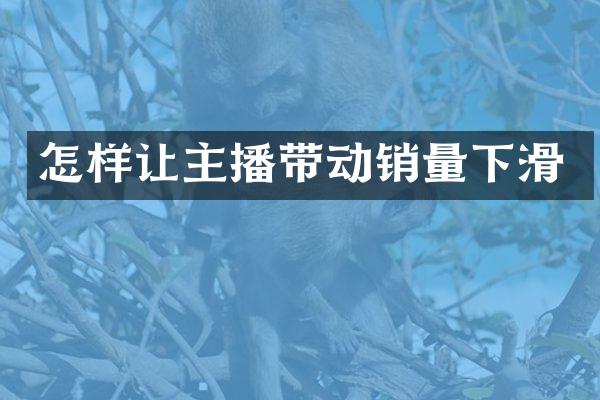 怎样让主播带动销量下滑