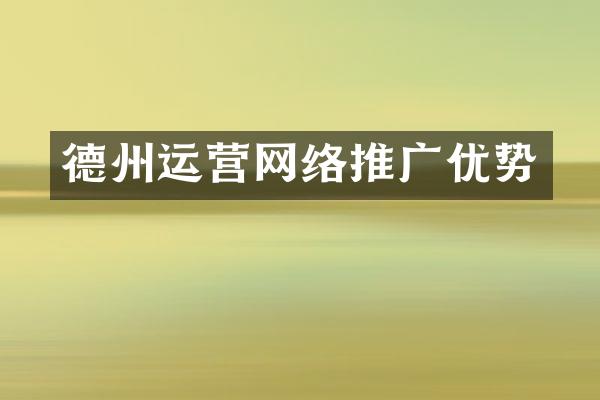 德州运营网络推广优势