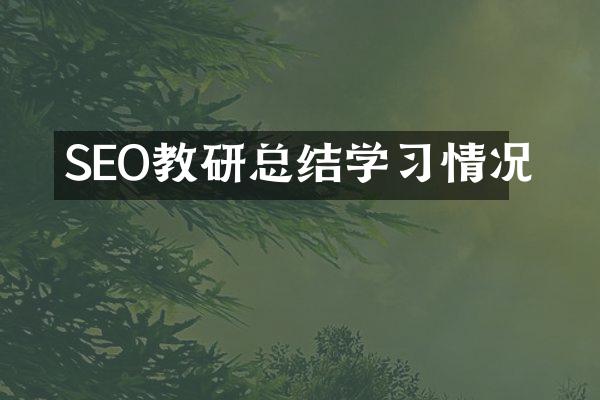 SEO教研总结学习情况