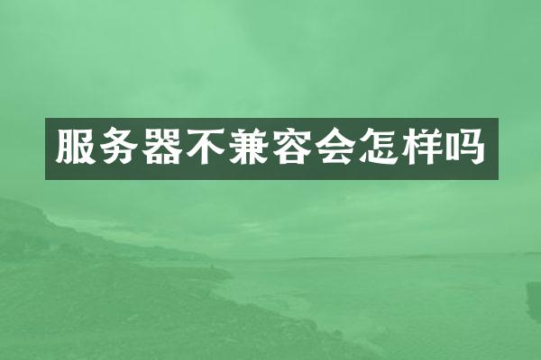 服务器不兼容会怎样吗