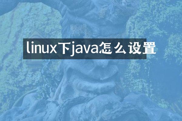linux下java怎么设置