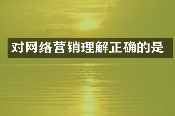 对网络营销理解正确的是