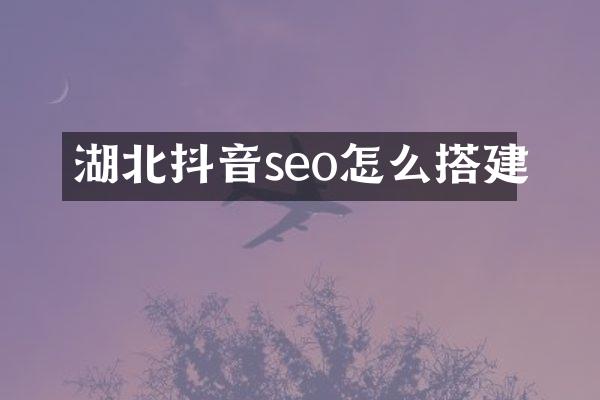 湖北抖音seo怎么搭建