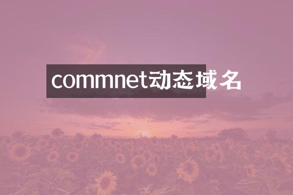 commnet动态域名