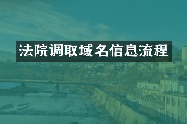 法院调取域名信息流程