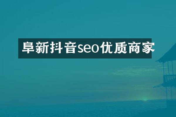 阜新抖音seo优质商家