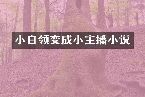 小白领变成小主播小说
