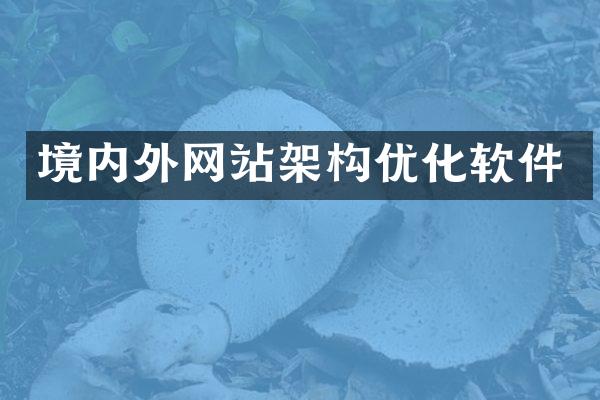 境内外网站架构优化软件