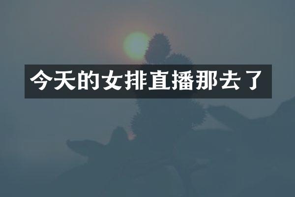 今天的女排直播那去了