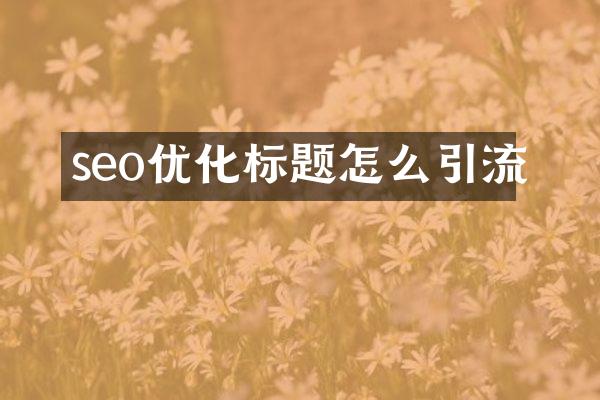 seo优化标题怎么引流