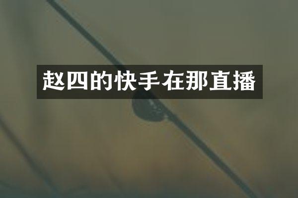 赵四的快手在那直播